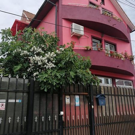 Vila Mihai Năvodari Exterior foto